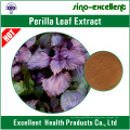 natürlicher Perilla Leaf Extract